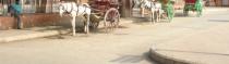 Agra